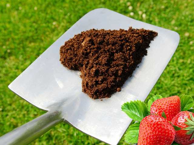 Калийные удобрения Калийные удобрения