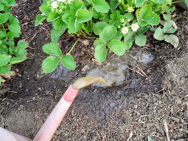 Азотные удобрения Азотные удобрения